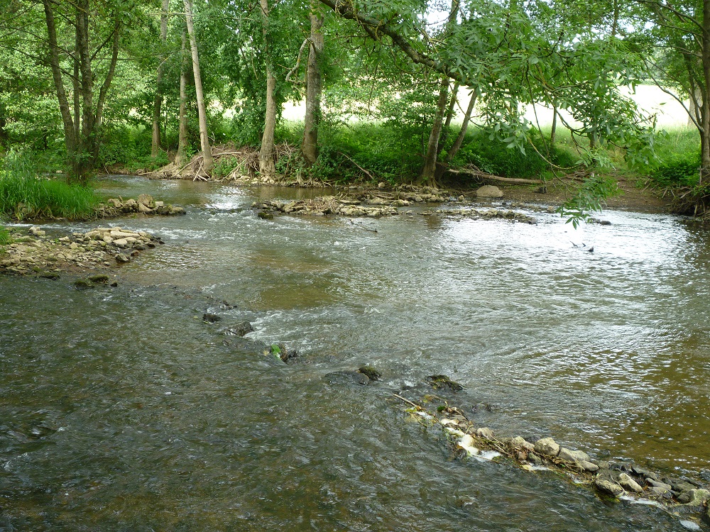 L'Erve à Sablé sur Sarthe